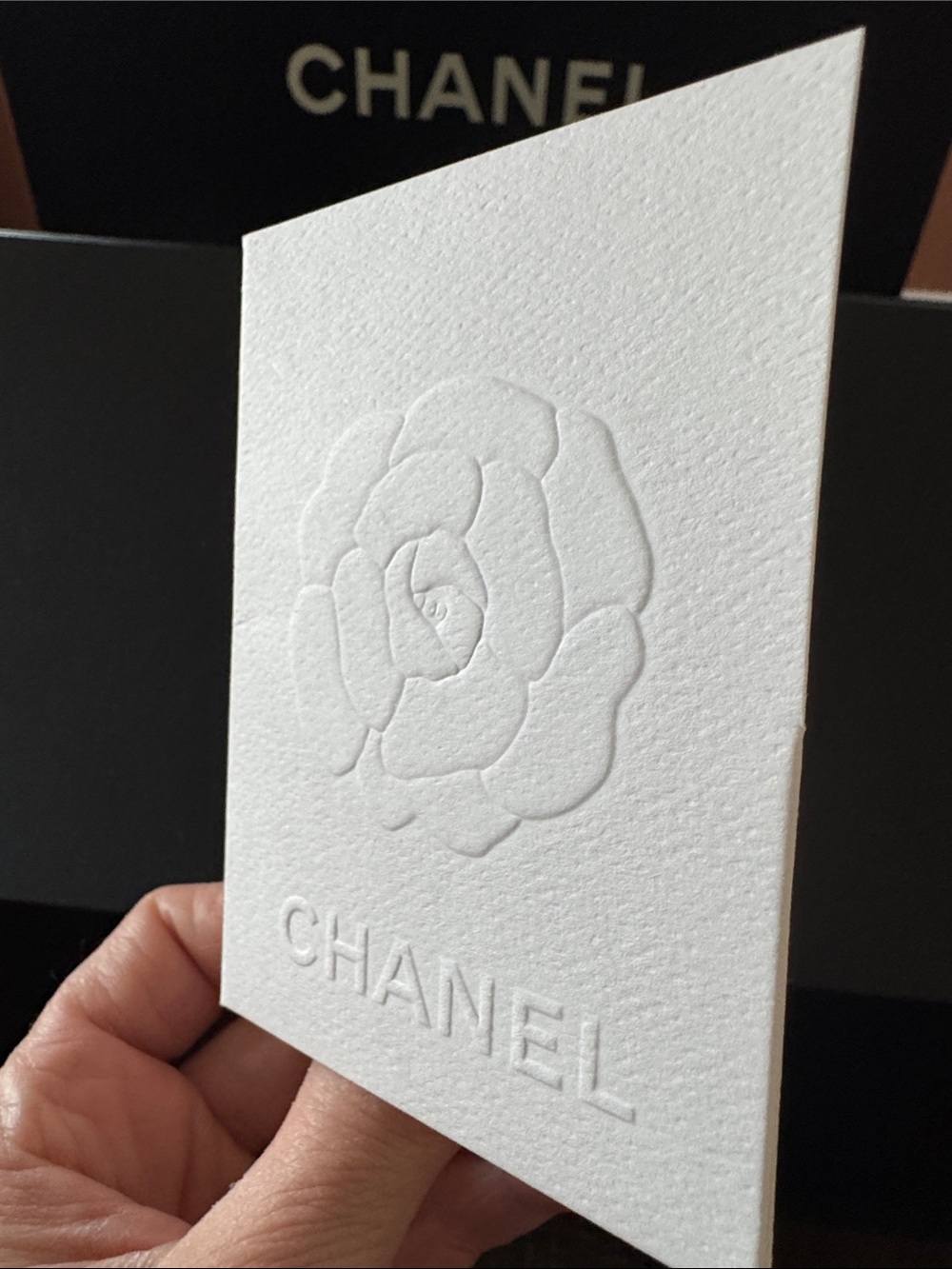 Large CHANEL Black and White Box & Bag Set with 2 Camellia+ receipt holder - Picture 6 of 13